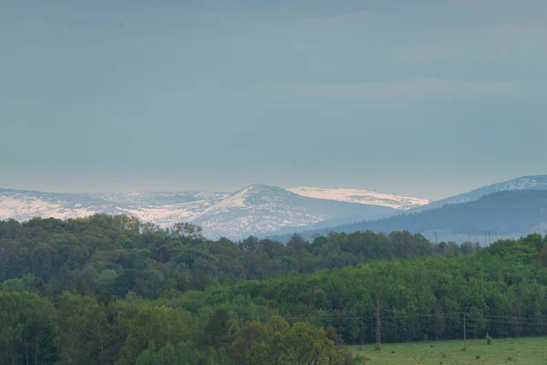 The upland is covered with green trees. In the distance you can see misty mountain peaks covered with a blanket of white snow. The sky is slightly cloudy.