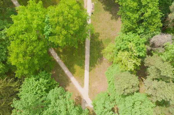 A manor park in the city of Iowa, in western Poland, seen from above. You can see alleys crossing the park, green lawns and tall trees. Photo from the drone.
