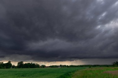 Yeşil çayırlar ve tarım arazileriyle kaplı uçsuz bucaksız bir ova. Uzakta ağaçlar var. Zirvede, gökyüzü fırtınanın habercisi olan karanlık ve uğursuz bulutlarla kaplı..