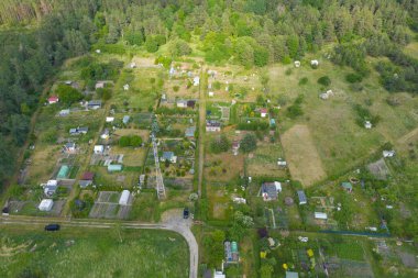 Yeşil tahılla kaplı bir tarla, kozalaklı bir ormanla çevrili. Uzakta binalar ve bahçe tahsis edilmiş çardaklar görebilirsiniz. Güneşli bir gün. İHA 'dan fotoğraf..