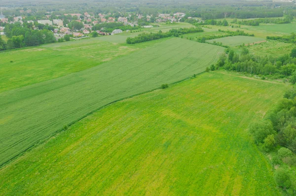 Duży Płaski Teren Pokryty Zielonymi Polami Uprawnymi Łąkami Można Zobaczyć — Zdjęcie stockowe