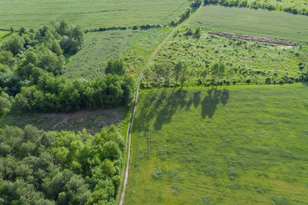 Обширная Ровная Местность Покрытая Зелеными Пахотными Полями Лугами Окраине Можно — стоковое фото
