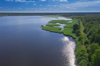 Güneşli bir günde ormanda bir üreme göleti. Kıyılar ve hendekler yeşil çimlerle kaplı. Güneş ve mavi gökyüzü suya yansıyor. İHA 'dan fotoğraf..