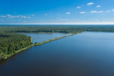 Güneşli bir günde ormanda bir üreme göleti. Kıyılar ve hendekler yeşil çimlerle kaplı. Güneş ve mavi gökyüzü suya yansıyor. İHA 'dan fotoğraf..