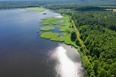 Güneşli bir günde ormanda bir üreme göleti. Kıyılar ve hendekler yeşil çimlerle kaplı. Güneş ve mavi gökyüzü suya yansıyor. İHA 'dan fotoğraf..