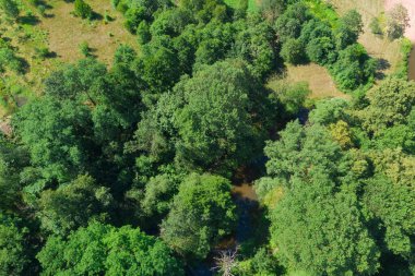 Lowland küçük nehri. Güneşli bir gün. Kıyılar çimen ve uzun yapraklı ağaçlarla kaplı. İHA 'dan fotoğraf..
