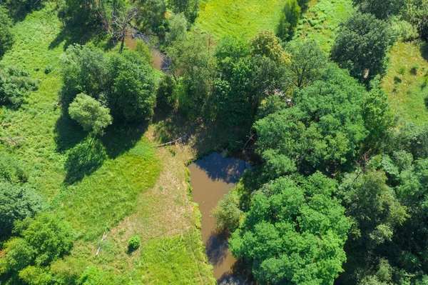 Kleine Rivier Van Lowland Het Een Zonnige Dag Kusten Zijn — Stockfoto