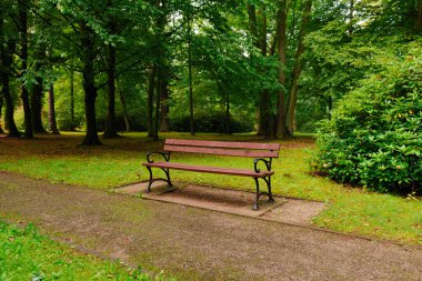 Empty park alley on a cloudy summer day. There are empty benches by the alley. There are green trees around.