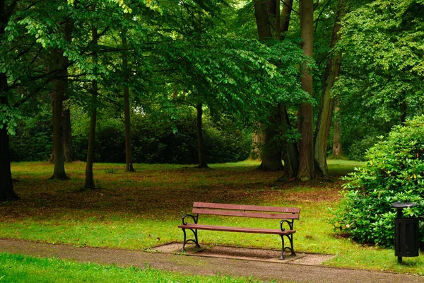 Empty park alley on a cloudy summer day. There are empty benches by the alley. There are green trees around.