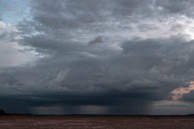 Uzaktan yağan yağmurla birlikte yaklaşan fırtına. Geniş bir düzlük, ormanın sınırını görebilirsiniz. Gökyüzü karanlık, fırtınalı bulutlarla kaplı. Ufukta yağmur damlalarının düşüşünü görebilirsiniz..