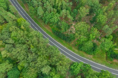 Ormandaki asfalt yolda. Yolda beyaz çizgiler var. Omuzlar yeşil çimlerle ve arka planda yeşil bir ormanla kaplıdır. İHA ile çekilmiş bir fotoğraf..