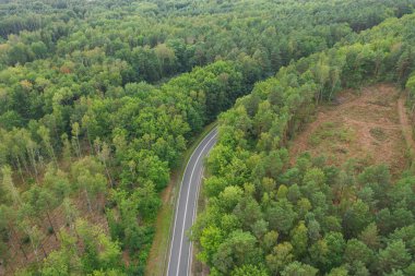 Ormandaki asfalt yolda. Yolda beyaz çizgiler var. Omuzlar yeşil çimlerle ve arka planda yeşil bir ormanla kaplıdır. İHA ile çekilmiş bir fotoğraf..