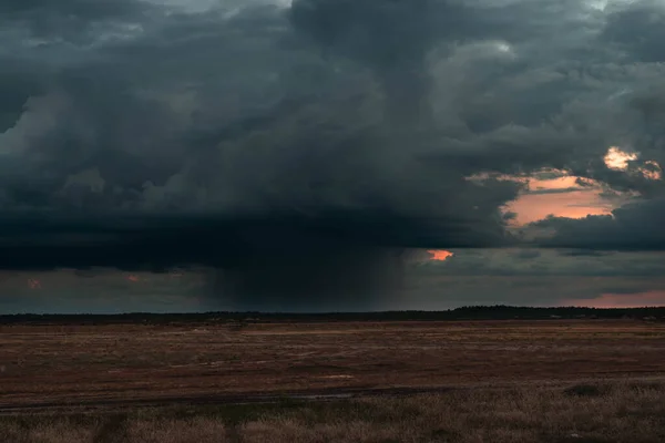 Oncoming storm with rain falling in the distance.A vast plain, in the distance you can see the line of the forest. The sky is covered with dark, stormy clouds. On the horizon you can see streaks of rain falling in the distance.