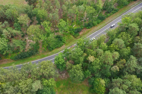 Estrada Asfalto Floresta Linhas Brancas Estrada Ombros São Cobertos Com — Fotografia de Stock