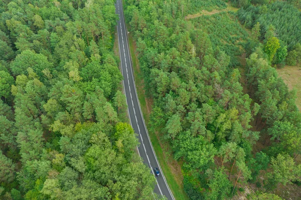 Estrada Asfalto Floresta Linhas Brancas Estrada Ombros São Cobertos Com — Fotografia de Stock