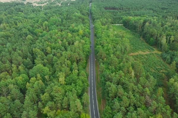 Estrada Asfalto Floresta Linhas Brancas Estrada Ombros São Cobertos Com — Fotografia de Stock
