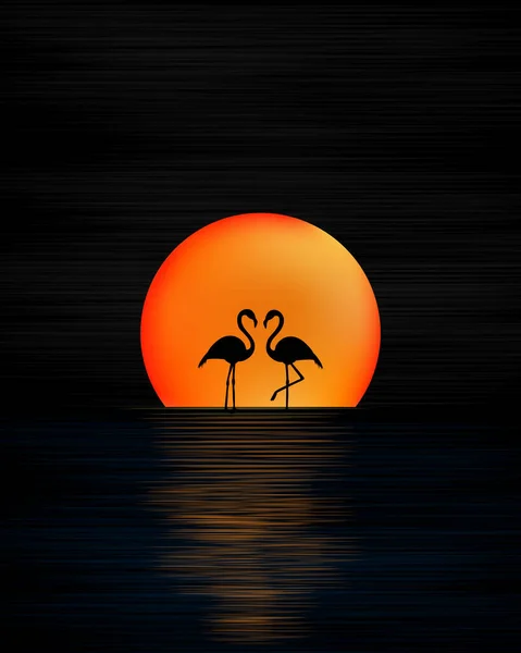 Flamingos Vor Dem Hintergrund Eines Farbenfrohen Sonnenuntergangs Sonnenuntergang Hinter Dem — Stockvektor