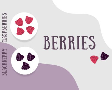 Böğürtlen, ahududu, böğürtlen, poster, afiş, reklam, dükkan