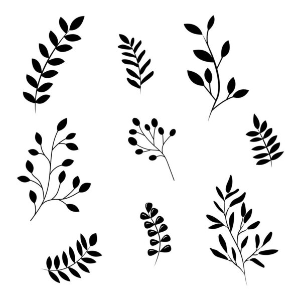 Набор изолированных растений. Трафареты из листьев деревьев. Плоская черно-белая иллюстрация.