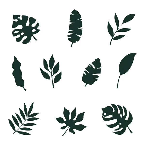 Ensemble Plantes Isolées Des Pochoirs Feuilles Arbre Illustration Plate Noir — Image vectorielle