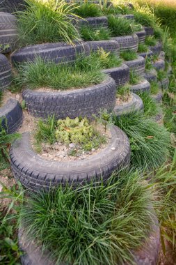 Bitkiler ve çimlerle kaplı Dünya lastik duvarına çarptım.
