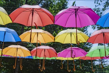 Arka planda ağaçlar ve mavi gökyüzü olan şemsiye sokağı