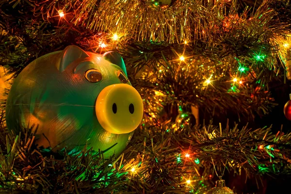 Tlusté Prasátko Banka Vánoční Strom — Stock fotografie