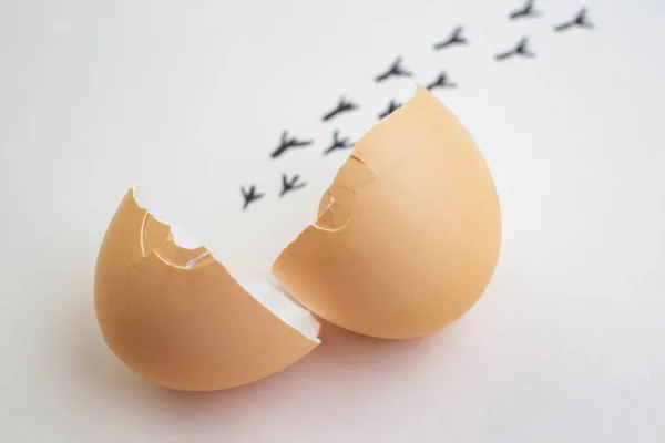 Zerbrochene Eierschalen Mit Einer Spur Von Fußabdrücken Von Küken Hintergrund — Stockfoto
