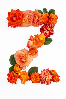 Büyük harf Z, kırmızı turuncu güllerden yapılmış, beyaz arkaplanda izole edilmiş.