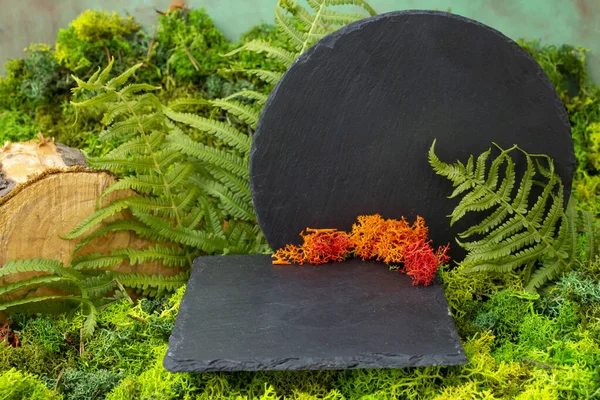 Staged display for product photography, with black stone slabs, tree stump, Stabilized Lichen and fern leaves. Lush forest themed arrangement.