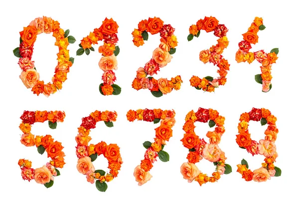 Numbers Written Real Orange Roses Wedding Invitation Font — Fotografia de Stock