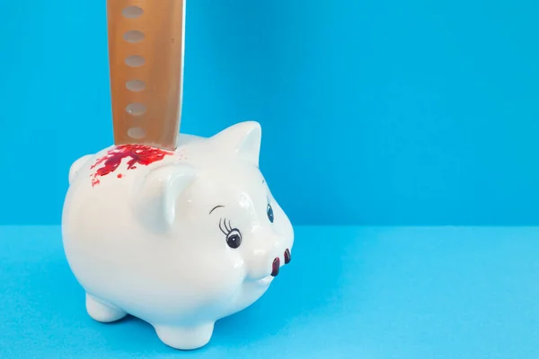 Porcelain piggy bank with a knife in it's back. Financial crisis metaphor, isolated on blue background.