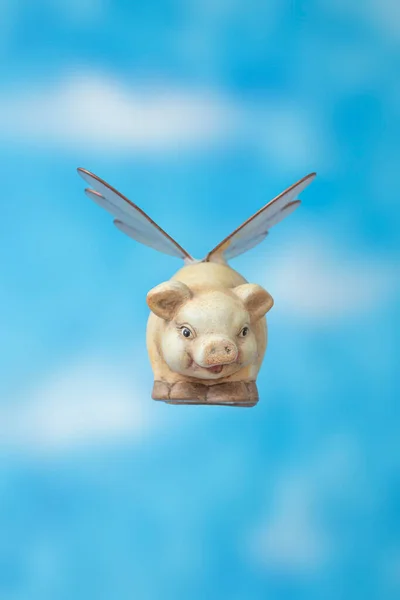 Ceramic Piggy bank with insect wings flying on blue skyes background, front view. When pigs fly metaphor.