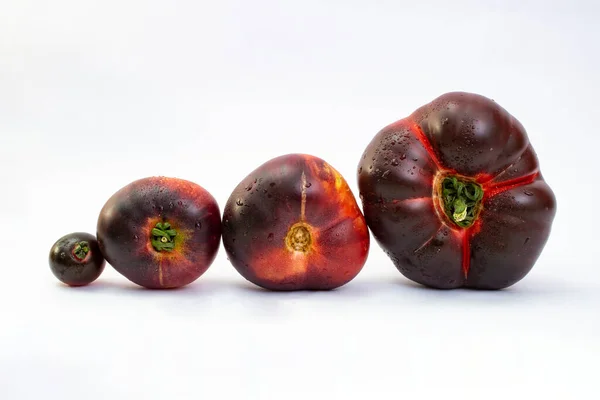 Four Black Tomatoes Line Isolated White Background Close — Stockfoto