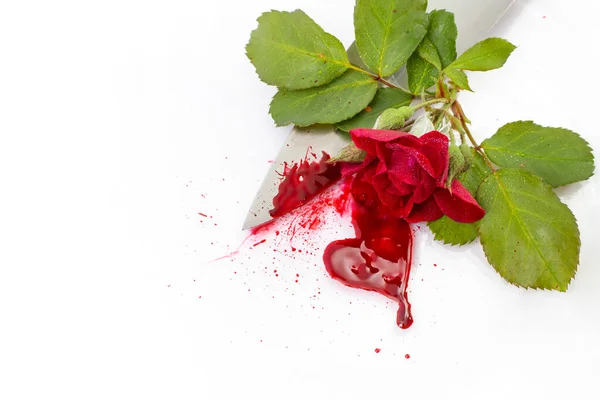 red rose with realistic blood and a sharp knife isolated on white background