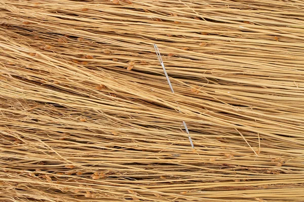 Finding a needle in a haystack,  problem solving concept. Close up