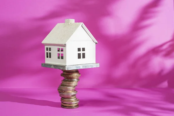 White model house on top of a stack of coins, on magenta background with plants shadow.