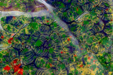 soyut renklendirilmiş yeşil, sarı, mavi ve kırmızı renkli cam deseni