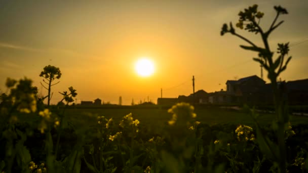 Time Lapse Majestic Sunset Sunrise Landscape Amazing Light Nature Cloudscape Vídeo De Bancos De Imagens