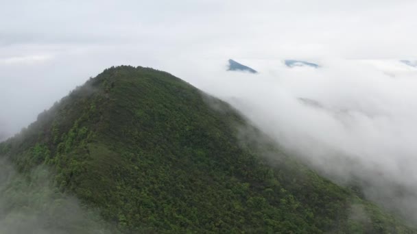 Montanha Sky Fog Hills Vista Aérea Com Árvores Vegetação Representando Gráficos De Vetor