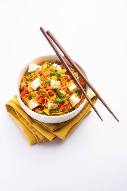 Schezwan paneer kızarmış pilav Szechuan sos ve peynir küpleri ile. bir kase ya da plaka veya tava servis. seçici odak