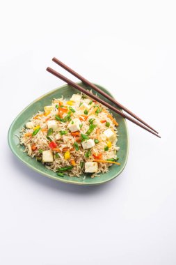 Schezwan paneer kızarmış pilav Szechuan sos ve peynir küpleri ile. bir kase ya da plaka veya tava servis. seçici odak