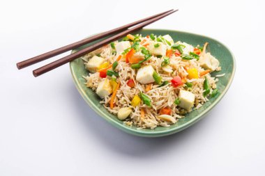 Schezwan paneer kızarmış pilav Szechuan sos ve peynir küpleri ile. bir kase ya da plaka veya tava servis. seçici odak