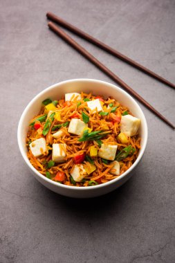 Schezwan paneer kızarmış pilav Szechuan sos ve peynir küpleri ile. bir kase ya da plaka veya tava servis. seçici odak