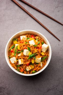 Schezwan paneer kızarmış pilav Szechuan sos ve peynir küpleri ile. bir kase ya da plaka veya tava servis. seçici odak