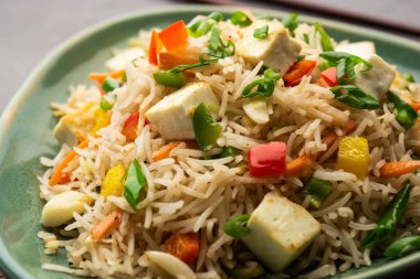 Schezwan paneer kızarmış pilav Szechuan sos ve peynir küpleri ile. bir kase ya da plaka veya tava servis. seçici odak