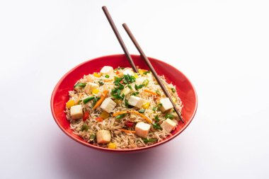 Schezwan paneer kızarmış pilav Szechuan sos ve peynir küpleri ile. bir kase ya da plaka veya tava servis. seçici odak