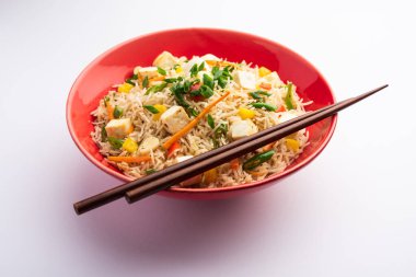 Schezwan paneer kızarmış pilav Szechuan sos ve peynir küpleri ile. bir kase ya da plaka veya tava servis. seçici odak