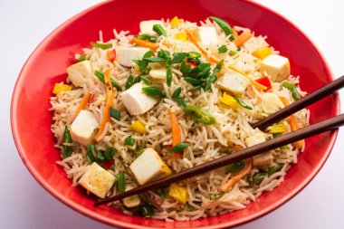 Schezwan paneer kızarmış pilav Szechuan sos ve peynir küpleri ile. bir kase ya da plaka veya tava servis. seçici odak