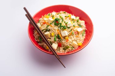 Schezwan paneer kızarmış pilav Szechuan sos ve peynir küpleri ile. bir kase ya da plaka veya tava servis. seçici odak